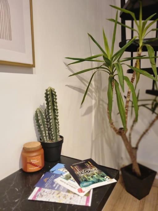 Hébergement de vacances L'escapade Duplex : Netflix/hortillons/st Leu/gare *