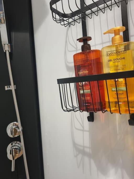 L'escapade Duplex : Netflix/hortillons/st Leu/gare Hébergement de vacances Amiens